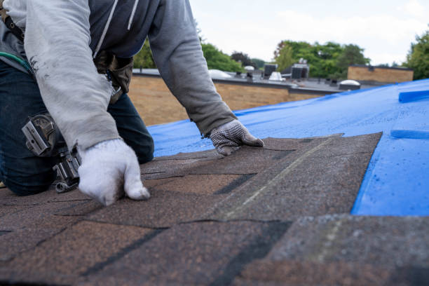 Best Emergency Roof Repair  in Miami, FL
